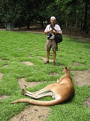 087 Port Douglas Wildlife Habitat